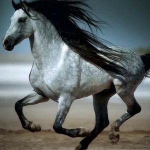 Meet your Posher, Ricky